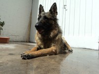 /album/fotos/de-todo-019-jpg/